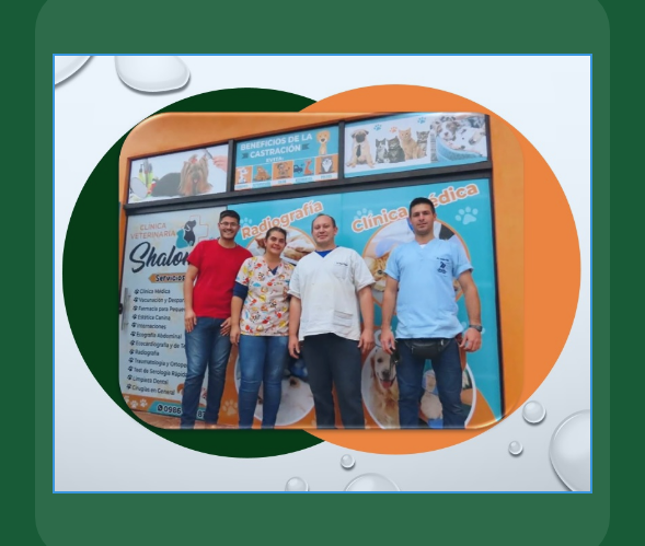 Equipo de Veterinaria Shalom en Villarrica